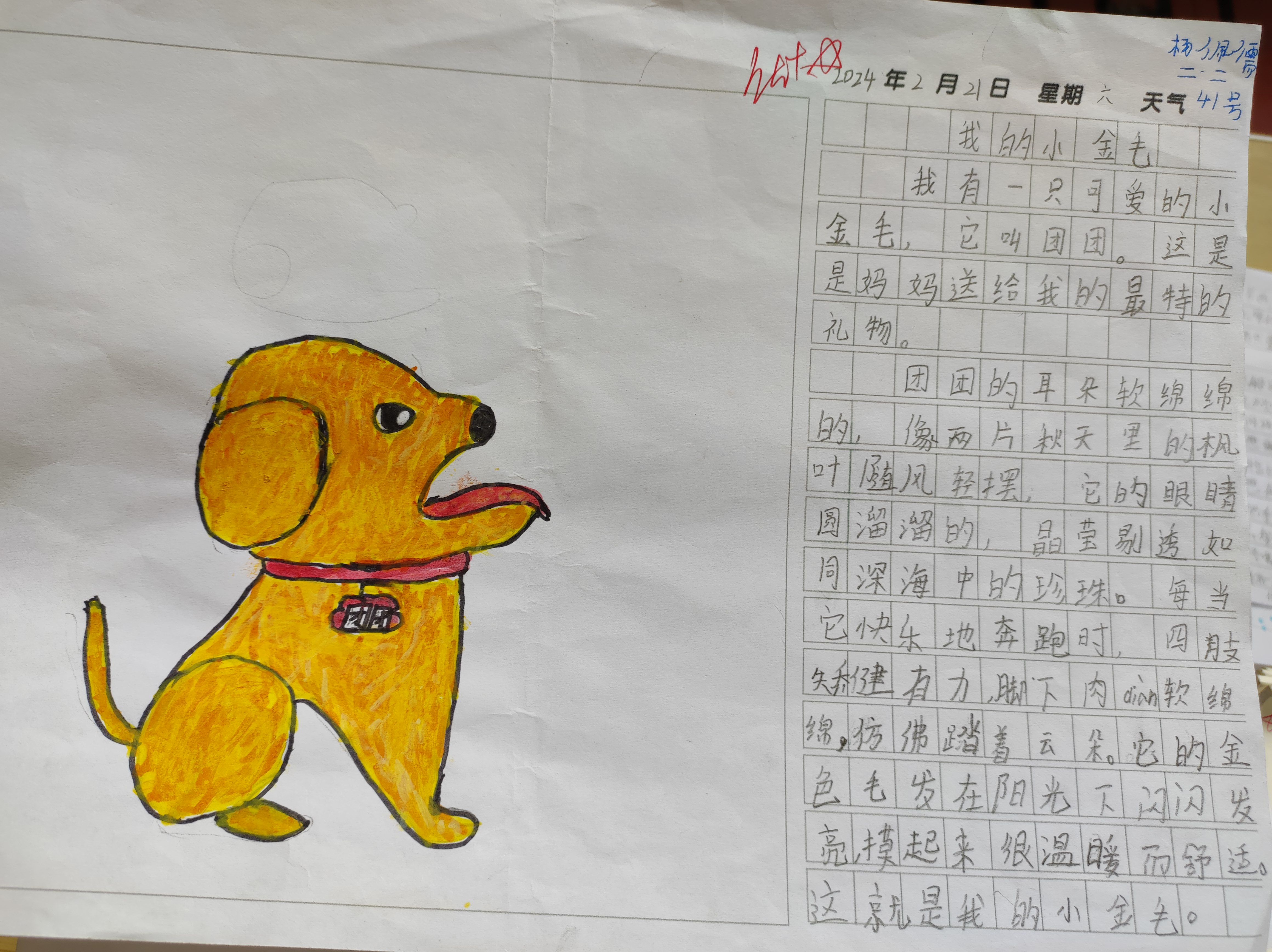 输了随便惩罚作文1000字面对挑战，输了有惩罚的背后意义-第1张图片