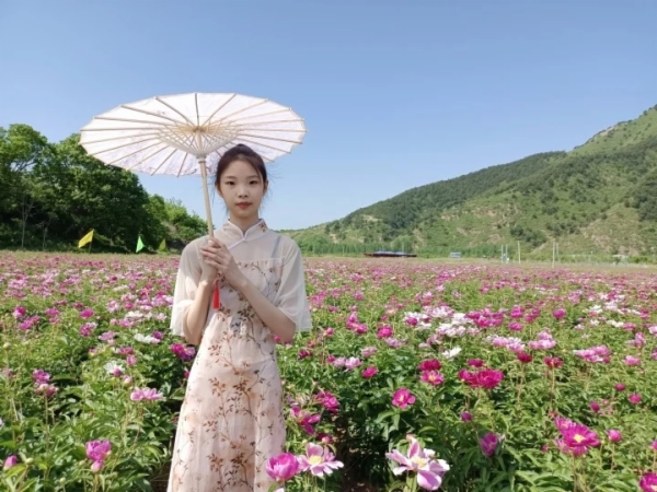 两个少女打一中药名两个少女的友谊之旅-第3张图片