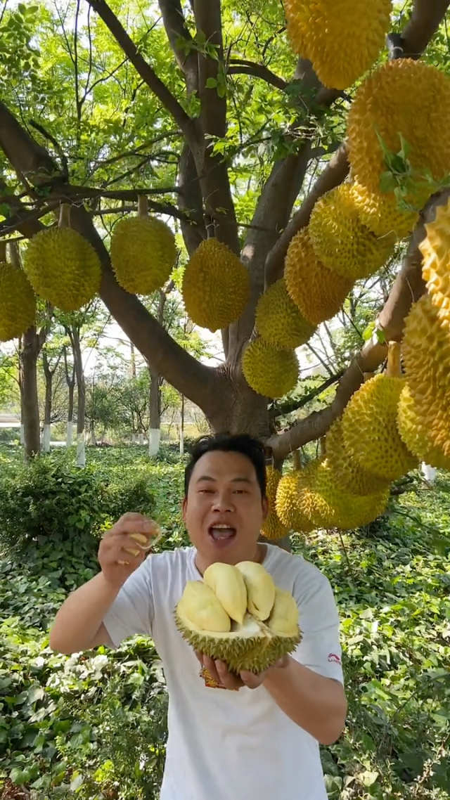 榴莲视频在线观看免费1080p破解版榴莲视频在线观看免费1080P，探索高清视频的魅力-第1张图片