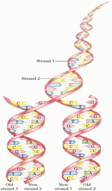 怎会如此4Ph探索数字世界中的奥秘，怎会如此4ph？-第1张图片
