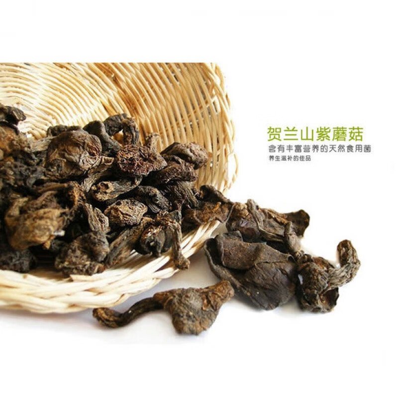 紫色的蘑菇根很粗大能吃吗小说紫色蘑菇的根是否可食用？-第1张图片