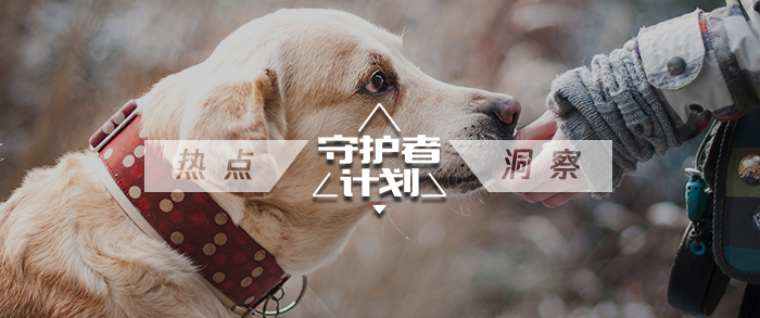 我成为了小学生们的马桶英语我成为小学生们的马桶守护者-第1张图片