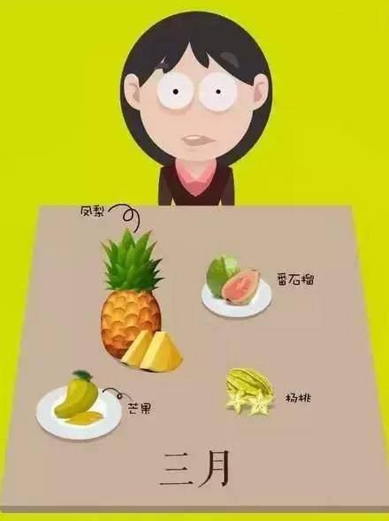 站长统计的青春果实之旅，草莓、丝瓜、榴莲与向日葵的成长记录-第3张图片