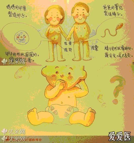 欧美性教育视频，护士角色与高清视频的探讨-第1张图片