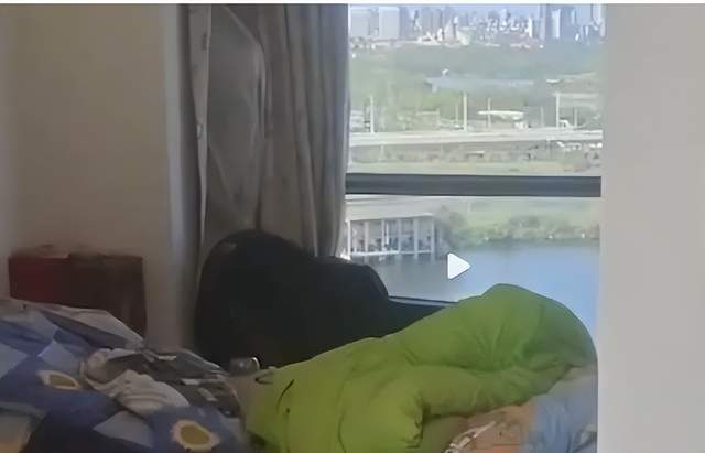 被强睡的高H公妇的温婉遭遇-第2张图片
