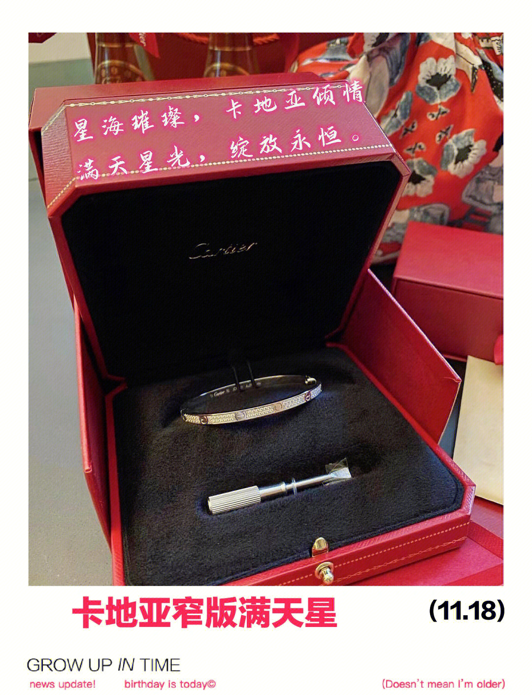 满天星A级意大利小辣椒满天星A级——意大利的璀璨之选-第1张图片