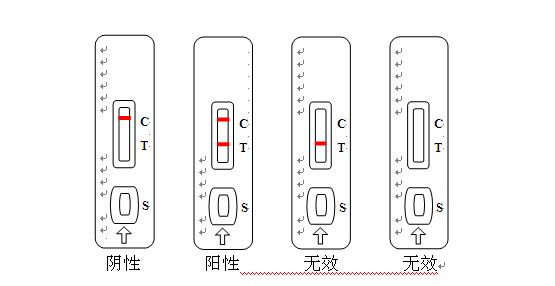 二十四种阴性外貌特征是什么二十四种阴性外貌特征详解-第2张图片