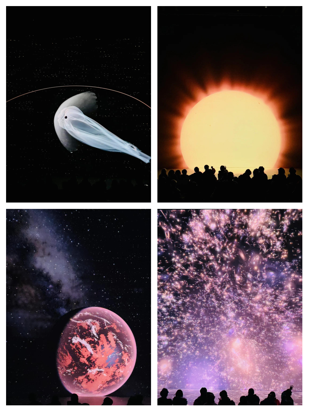 宇宙术士亚当宇宙术，探索无垠宇宙的神秘艺术-第1张图片