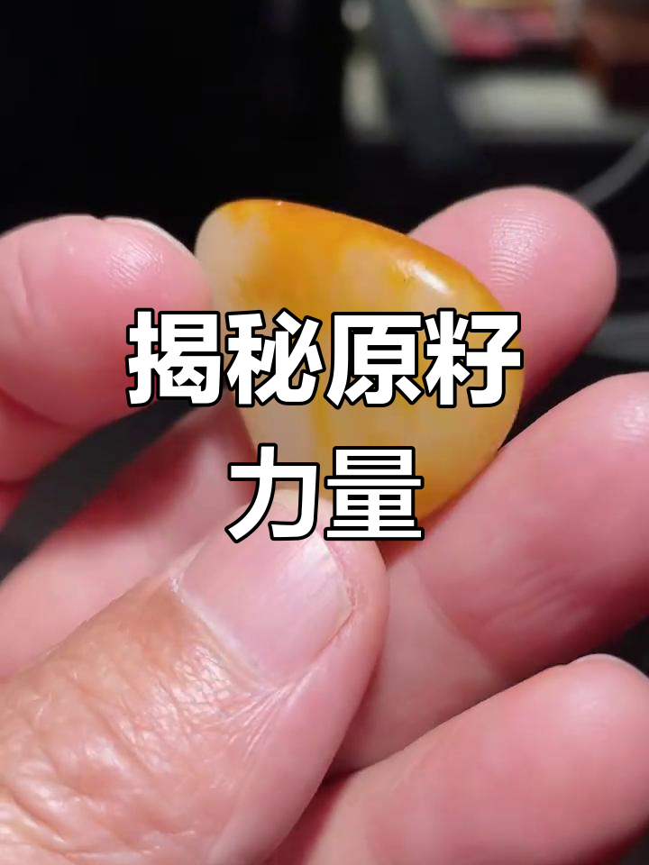 探索CQQ的魅力与力量-第1张图片