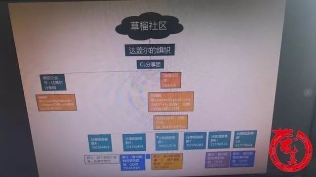 草榴如何进入的探索-第1张图片