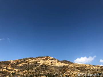 啦啦啦视频，在线观看播放，免费畅享无限精彩-第2张图片