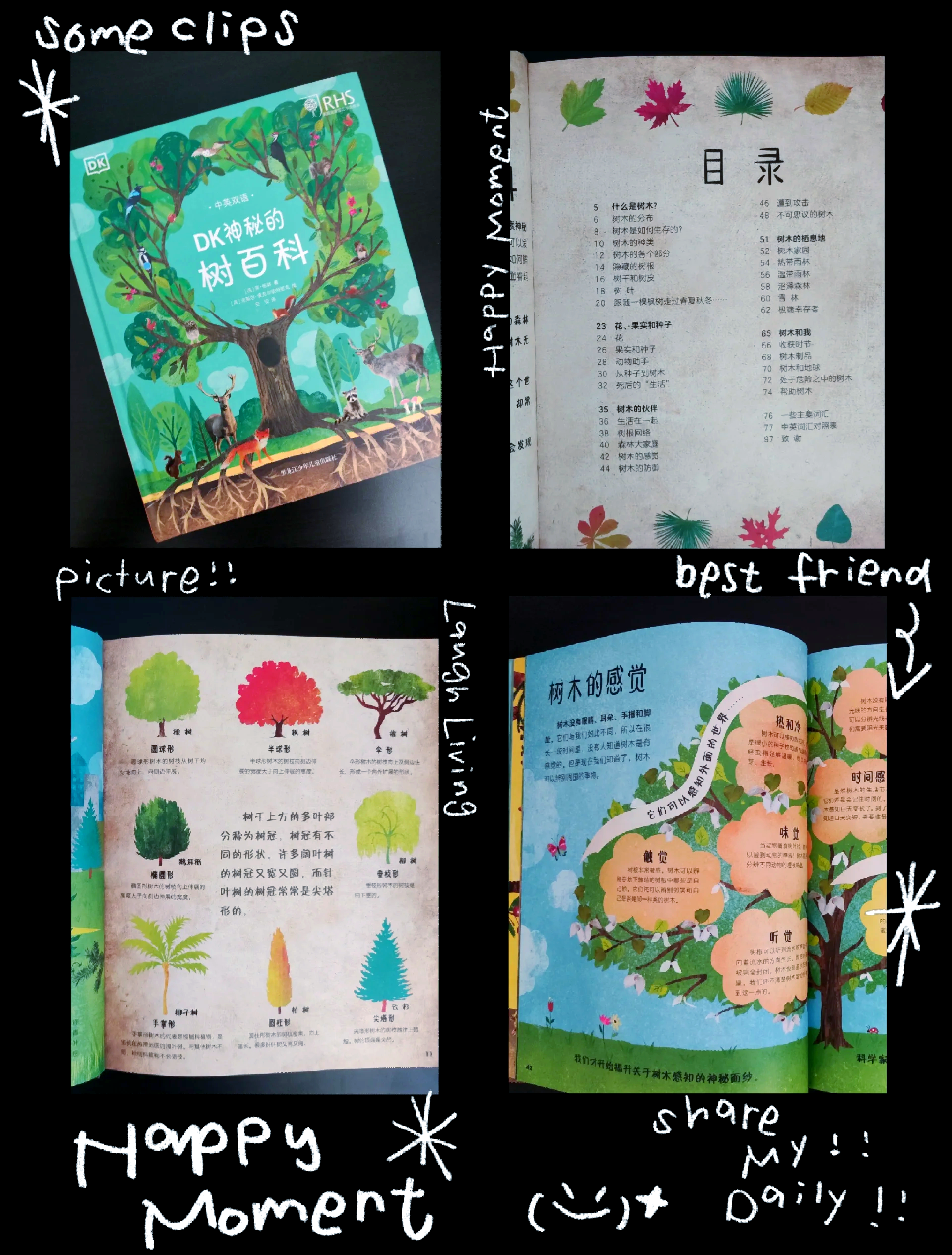 探索神秘之乡，Selangwang的魅力之旅-第2张图片