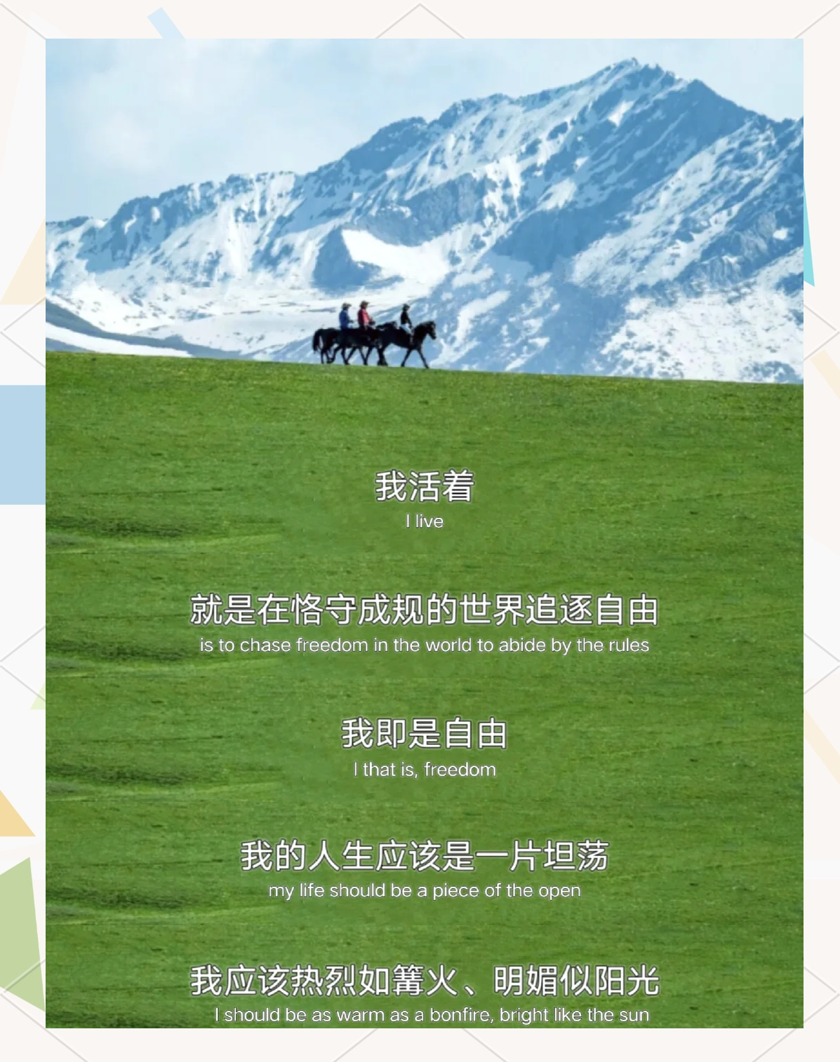 天天自由鸟——追求自由与梦想的飞翔-第1张图片