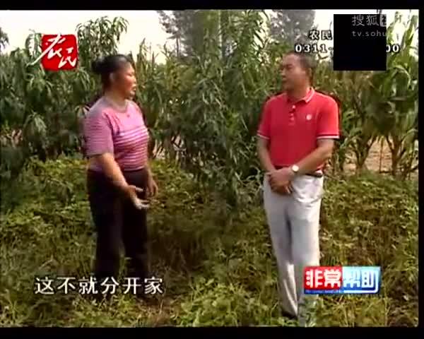 乱纶影视二区论luanlunyingshi的内涵与价值-第2张图片