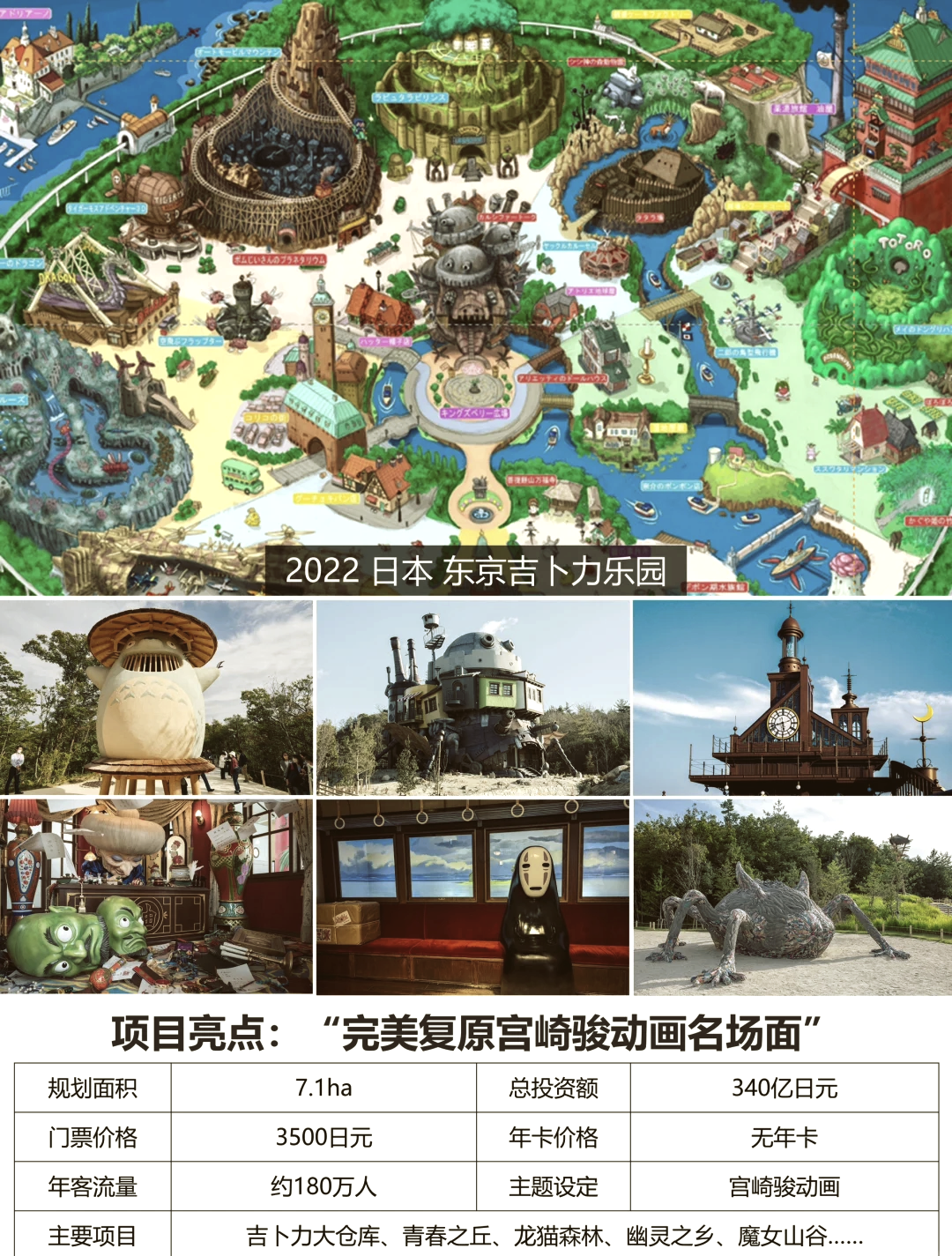 蜜芽忘忧草老狼三区——探索网络世界的独特乐园-第2张图片