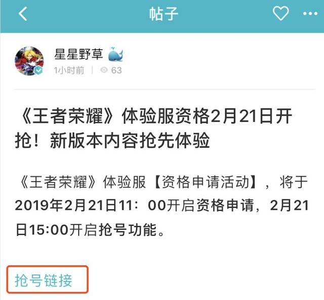 王者体验服资格申请指南