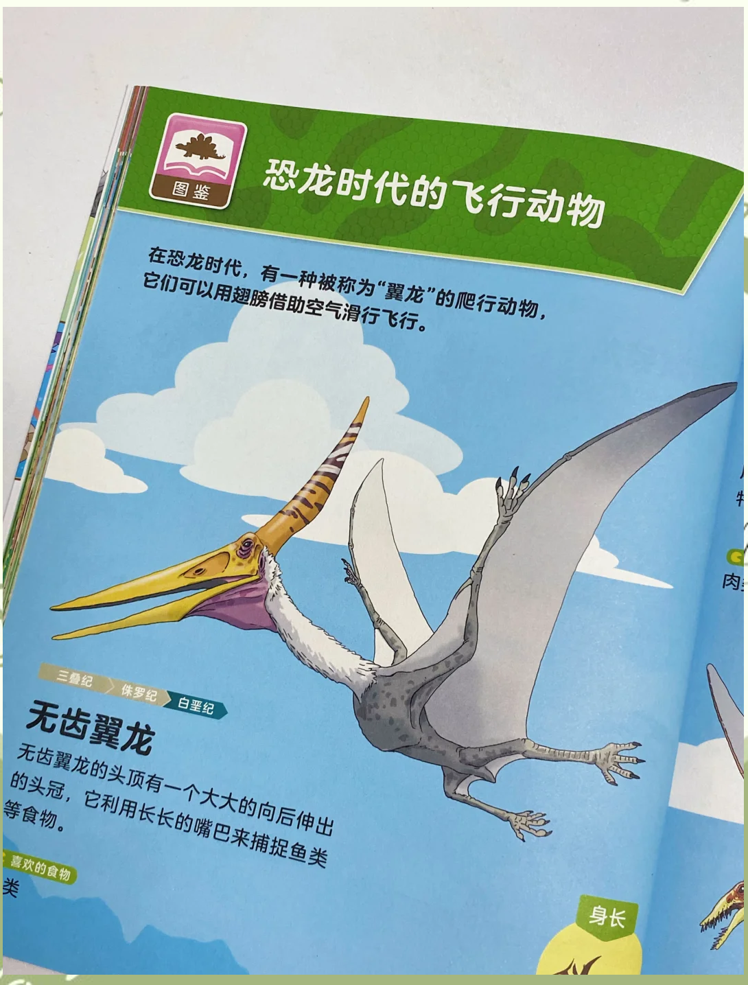 风神翼龙，神秘的空中霸主-第2张图片