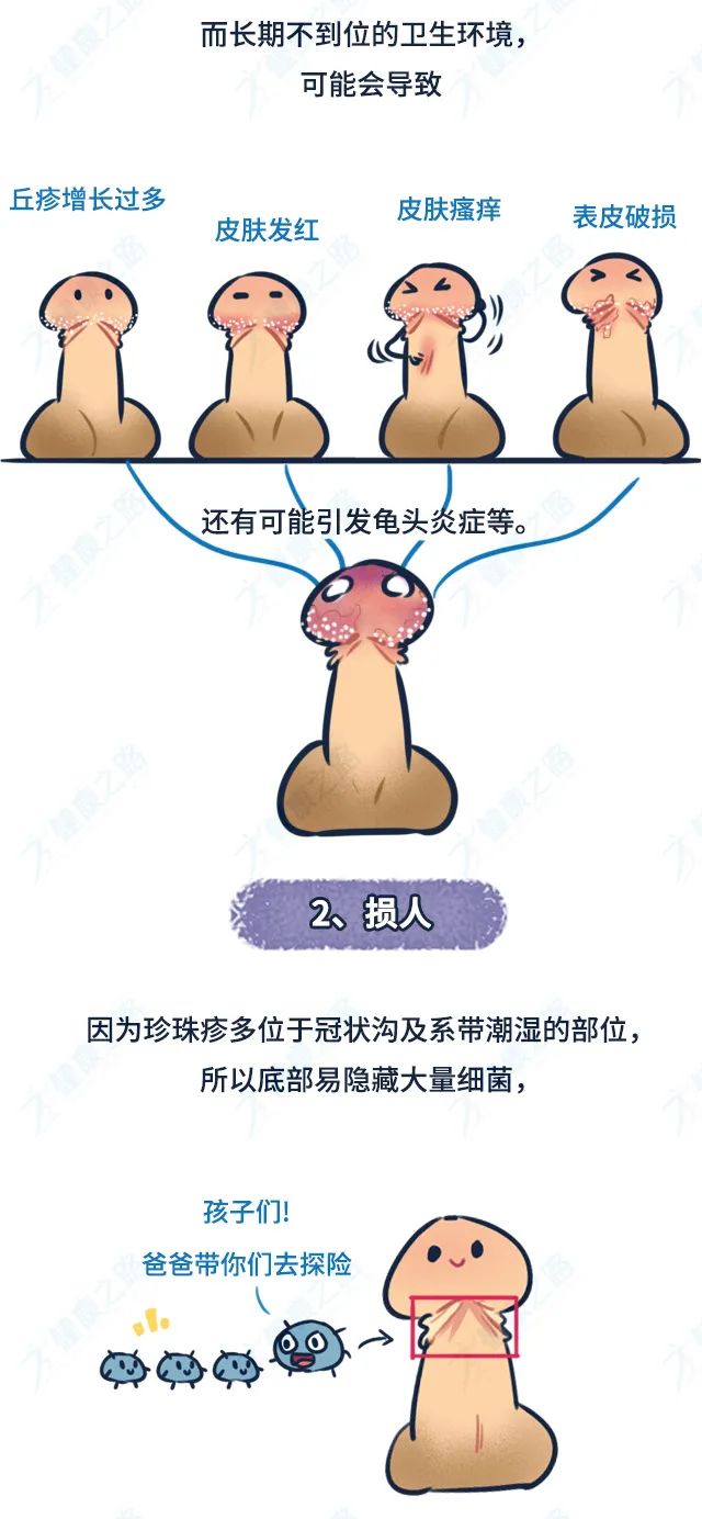丁丁地图上海公车换乘叮叮地图，引领未来导航的智能之选-第2张图片