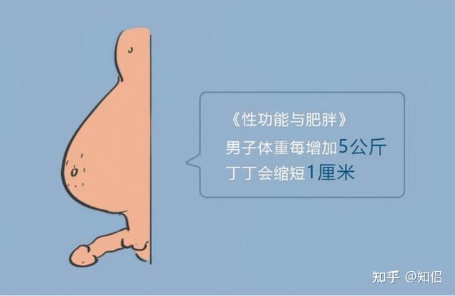 丁丁地图上海公车换乘叮叮地图，引领未来导航的智能之选-第3张图片