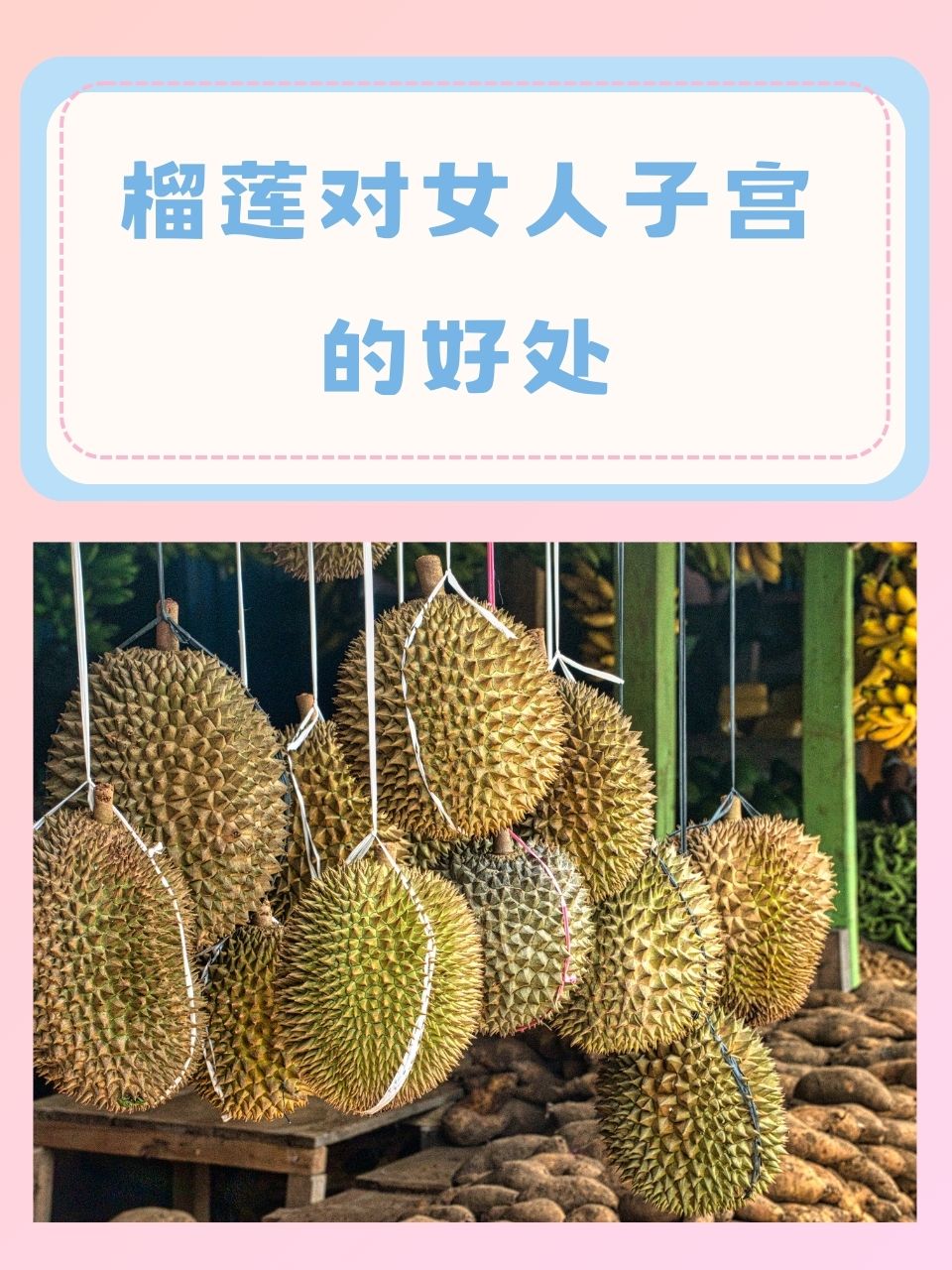 石榴蕾丝榴莲向日葵草莓丝瓜秋葵无限看版多彩果蔬的奇妙世界——石榴、蕾丝、榴莲、向日葵、草莓、丝瓜与秋葵的探索-第3张图片