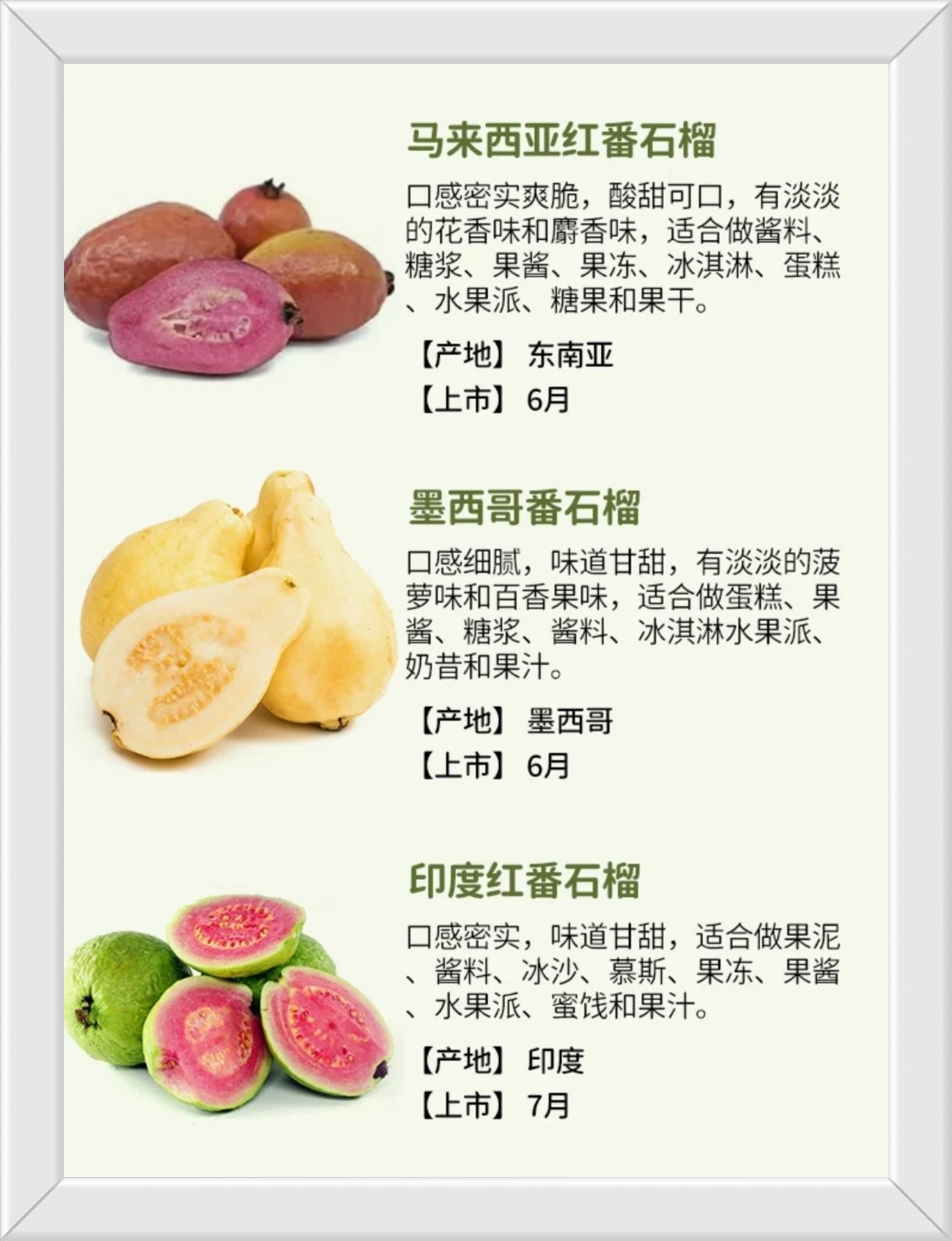 石榴蕾丝榴莲向日葵草莓丝瓜秋葵无限看版多彩果蔬的奇妙世界——石榴、蕾丝、榴莲、向日葵、草莓、丝瓜与秋葵的探索-第2张图片