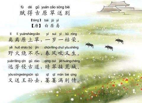 站着被口是一种什么样描写站着被口，一种独特的描写手法