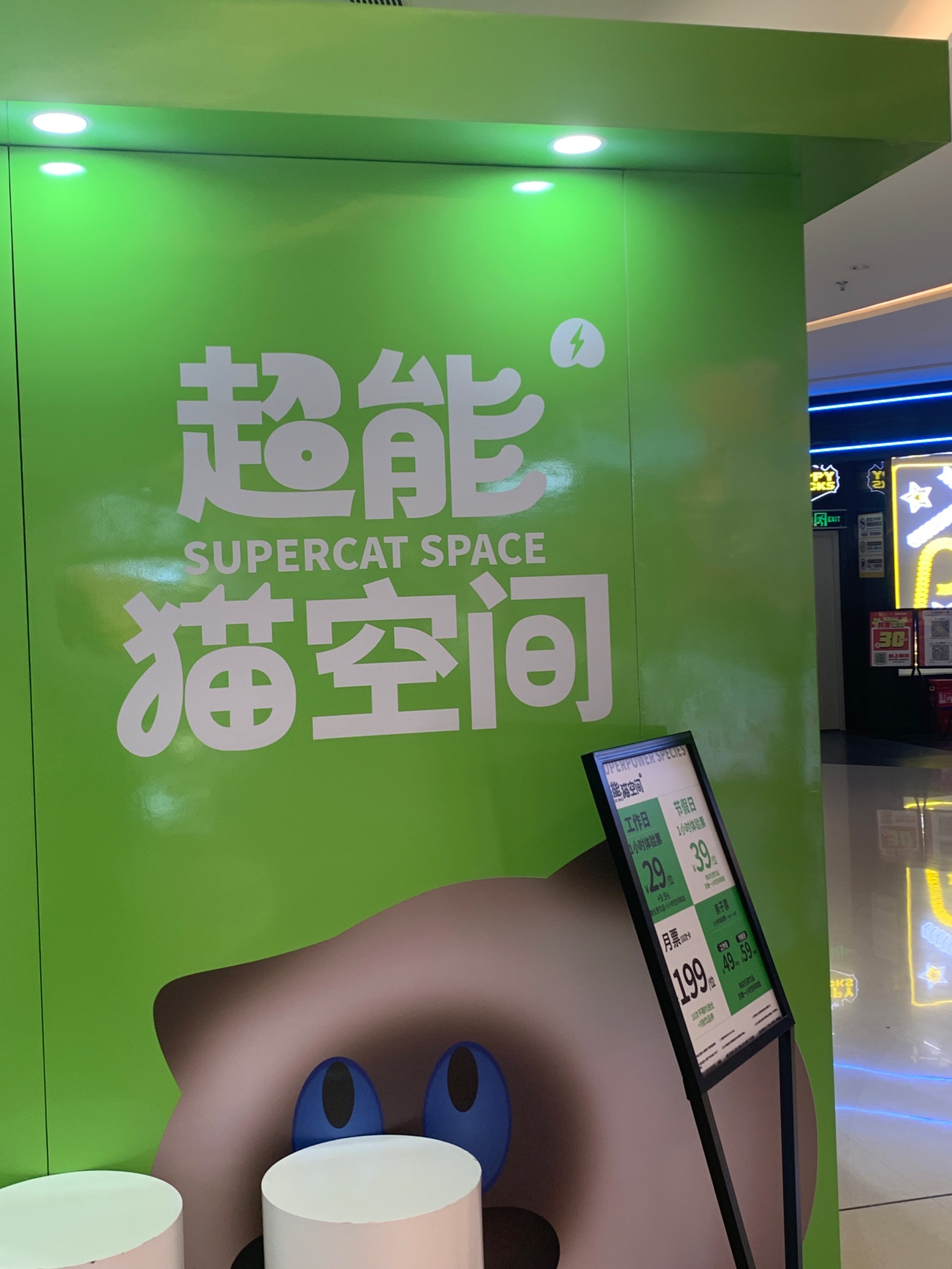 猫咪社区app是啥猫咪社区app官网入口探索之旅