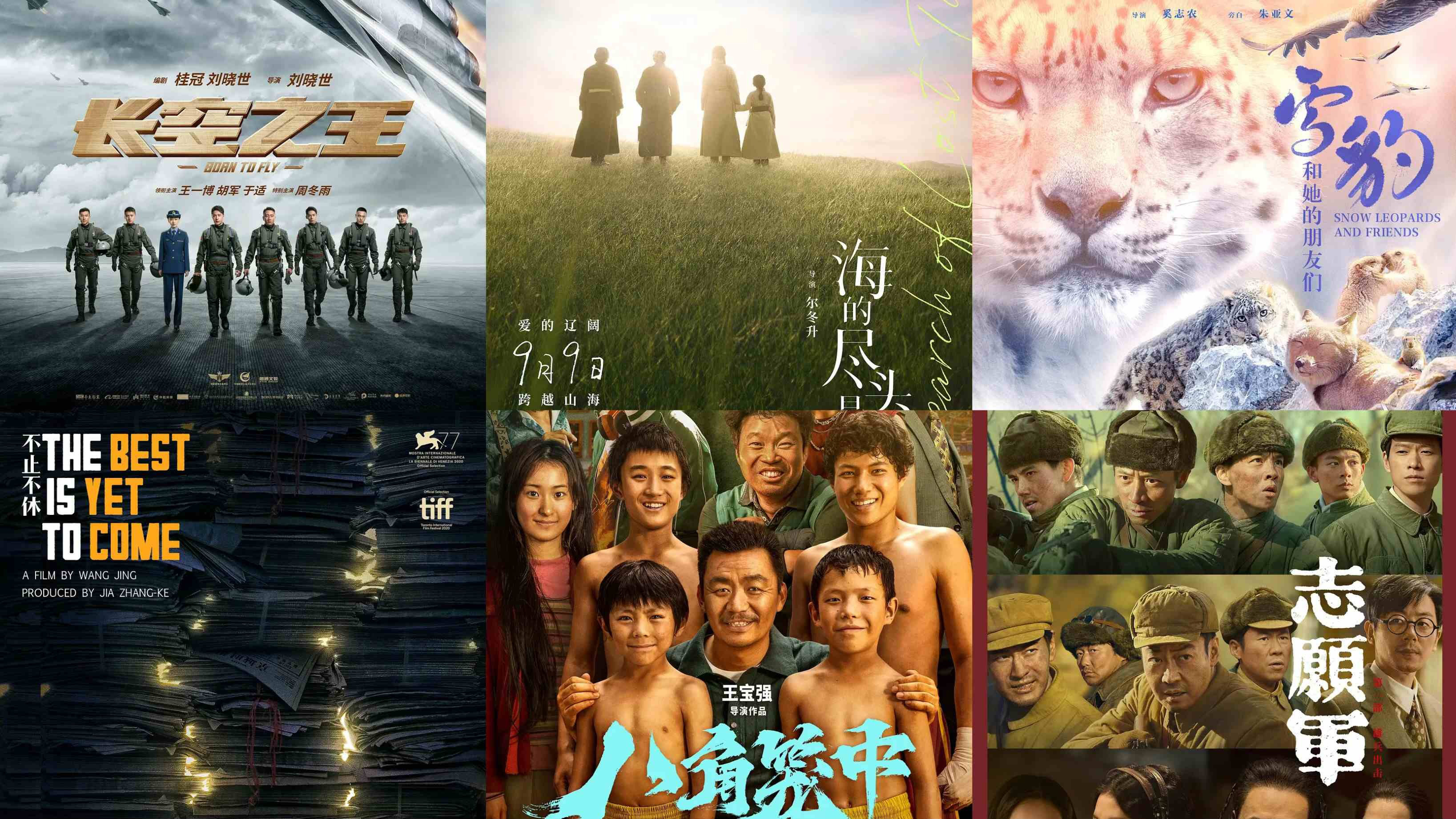 免费高清中文影片资源分享-第3张图片