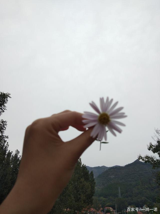 开了女儿的小花包开启女儿的小花包-第2张图片