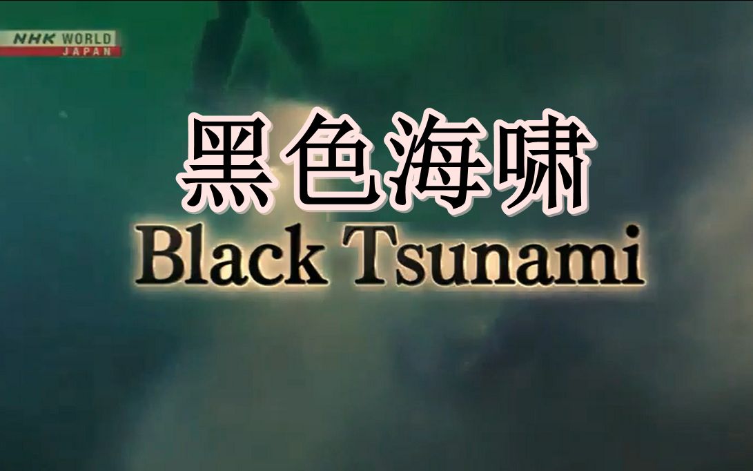 2019年中文乱码字幕免费资源分享