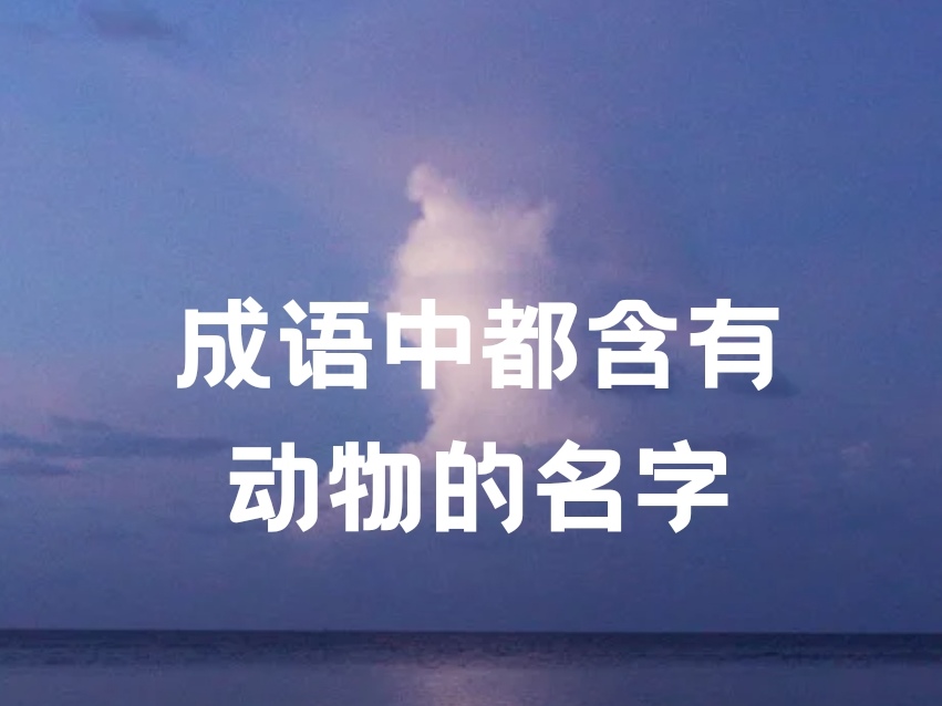 又粗又大这个词是什么意思探索又粗又猛又爽的黄老大爷视频的魅力-第2张图片