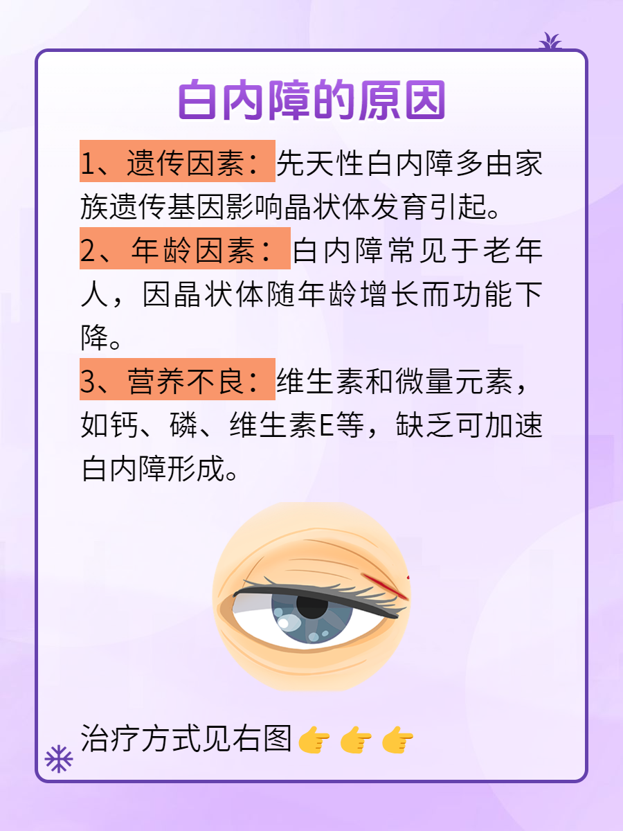 老年人性网址，理解与正确使用-第1张图片