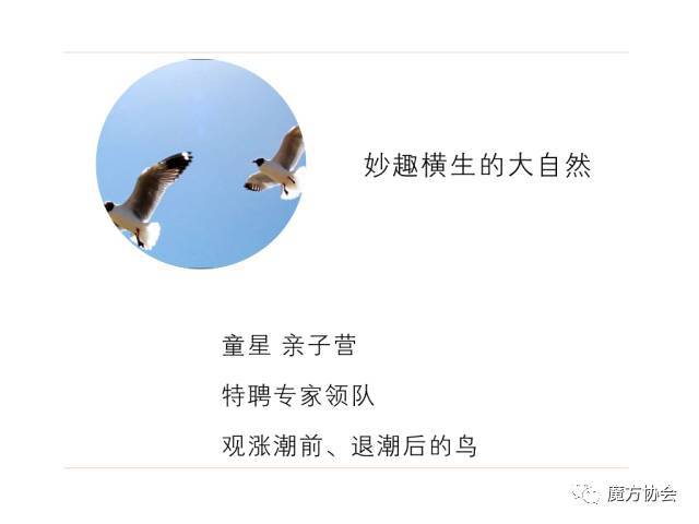 小明成人免费永久性看看小明成人后的免费永久性探索之旅