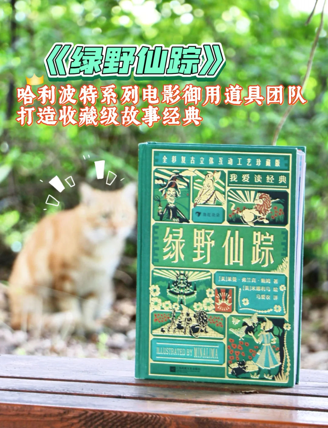 欢迎探索XZL仙踪林视频的奇幻世界-第2张图片