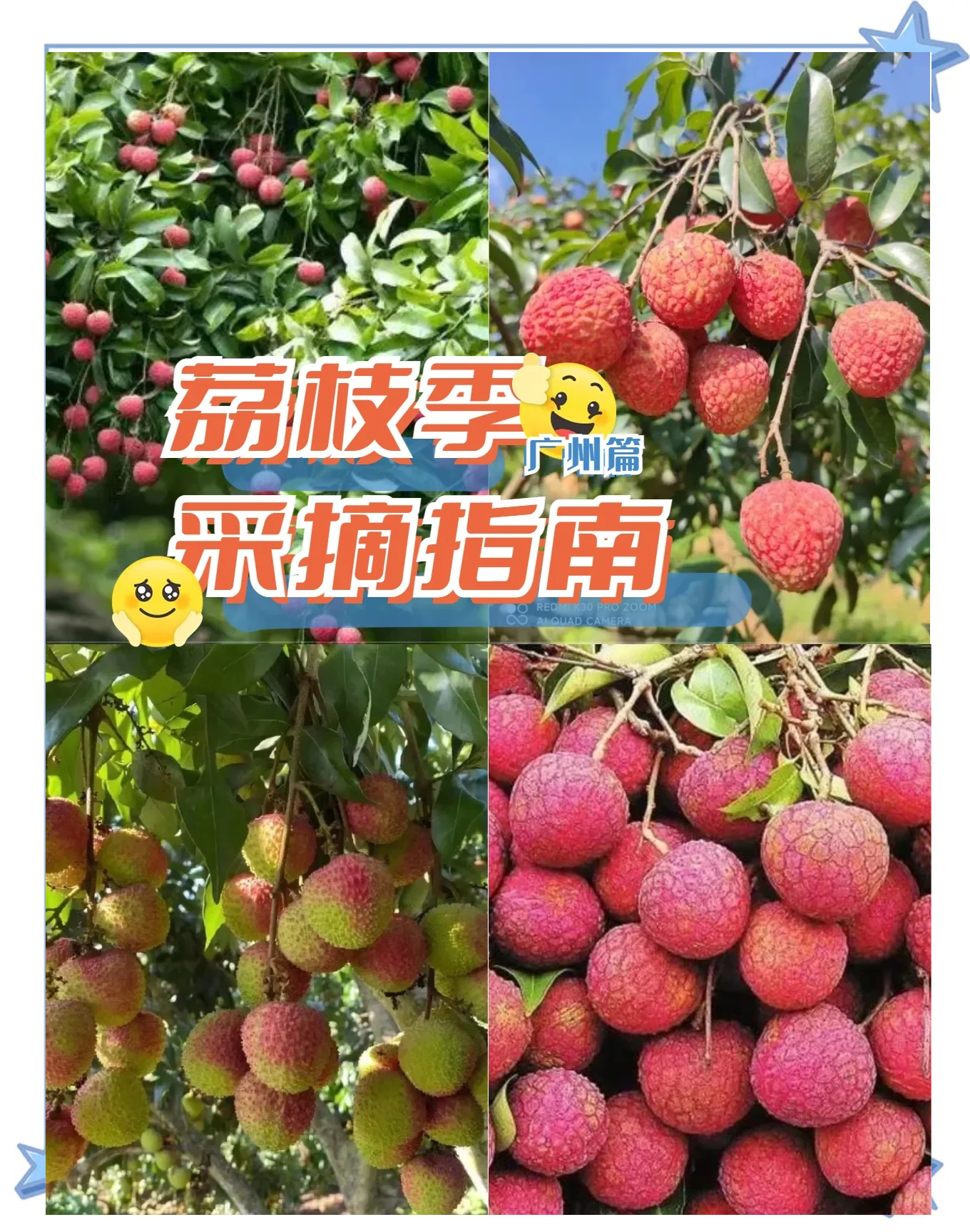 荔枝视频在线观看荔枝视频在线观看，便捷的观影体验与无限可能
