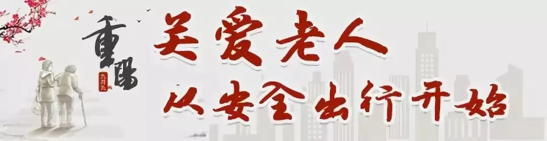 中国BGMBGMBGM老人在线观看，一种文化现象的深度探讨-第3张图片