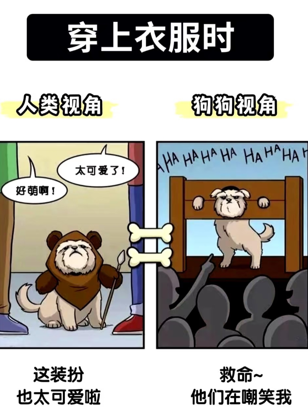 狗和人是怎么玩的 热闹狗与人的互动游戏，探索彼此间的情感纽带