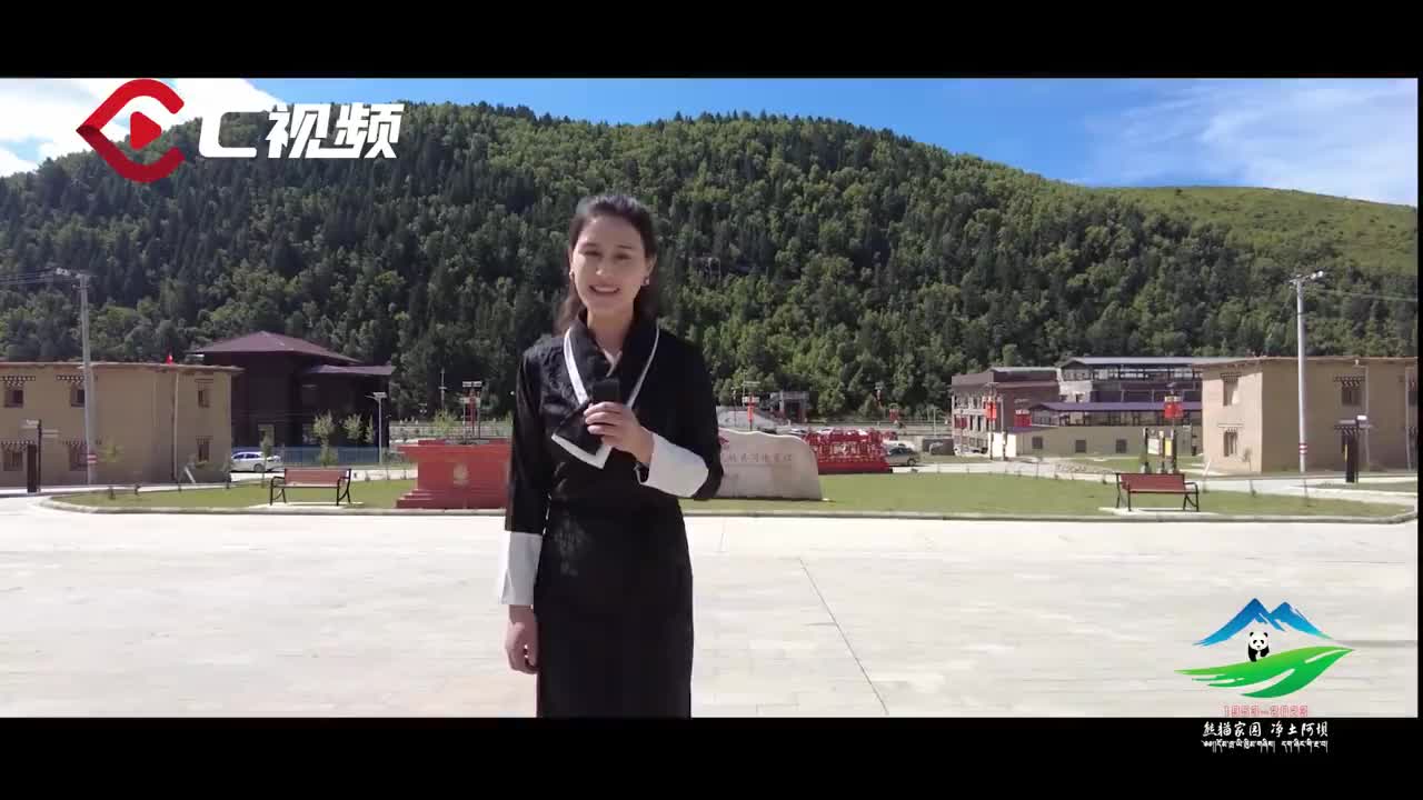 探索99国产在线视频，发现精品视频的魅力