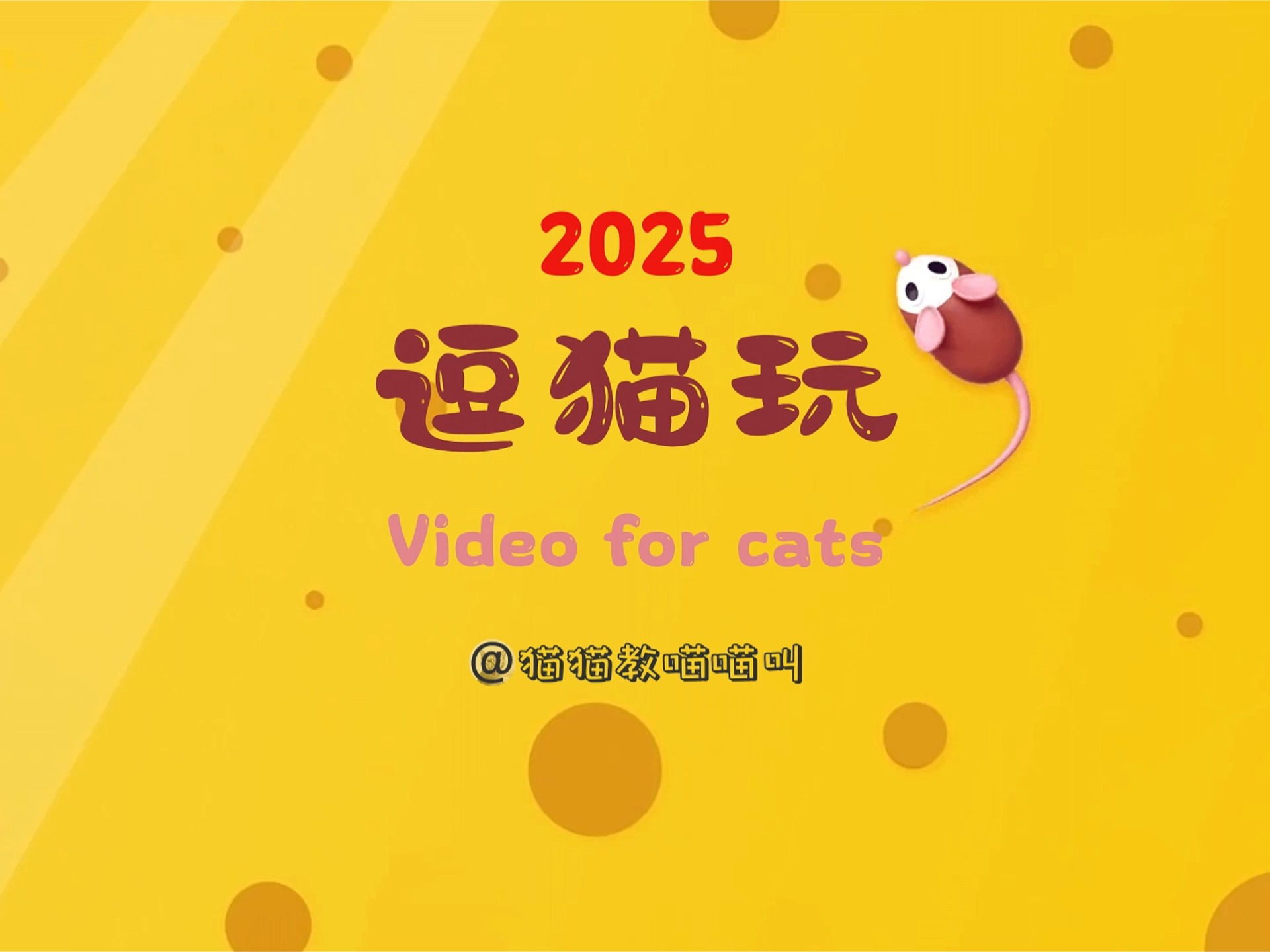 新版猫咪猫咪必火官网3.0新版猫咪猫咪必火官网，打造宠物爱好者的互动乐园-第1张图片
