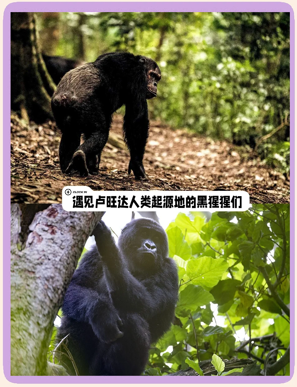 探索天堂官网在线资源网的奇妙世界