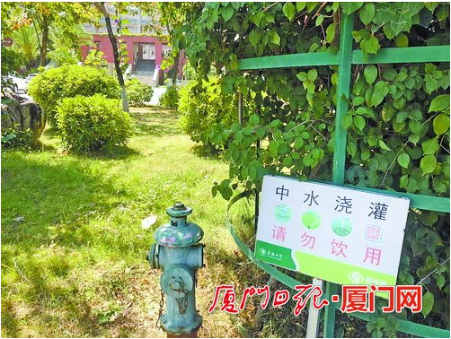 绿色q播绿色Q播，引领绿色网络新风尚