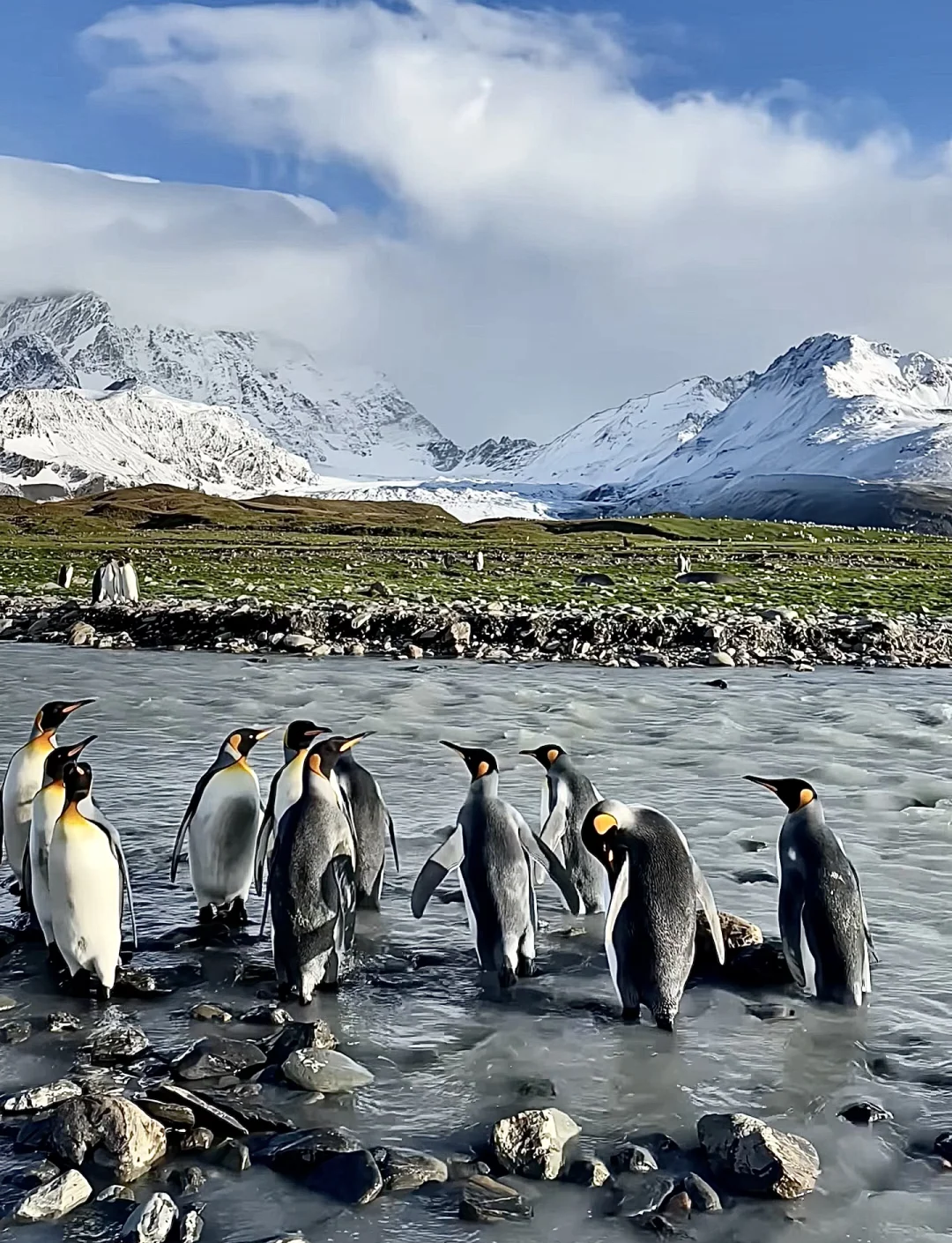 企鹅大陆Penguin Land企鹅大陆，神秘而独特的自然奇观