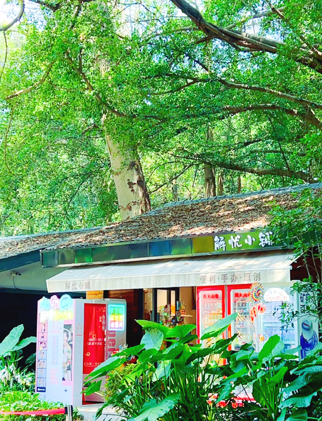 爱情岛AQDLT网站爱情岛AQDLTTV的浪漫之旅-第2张图片