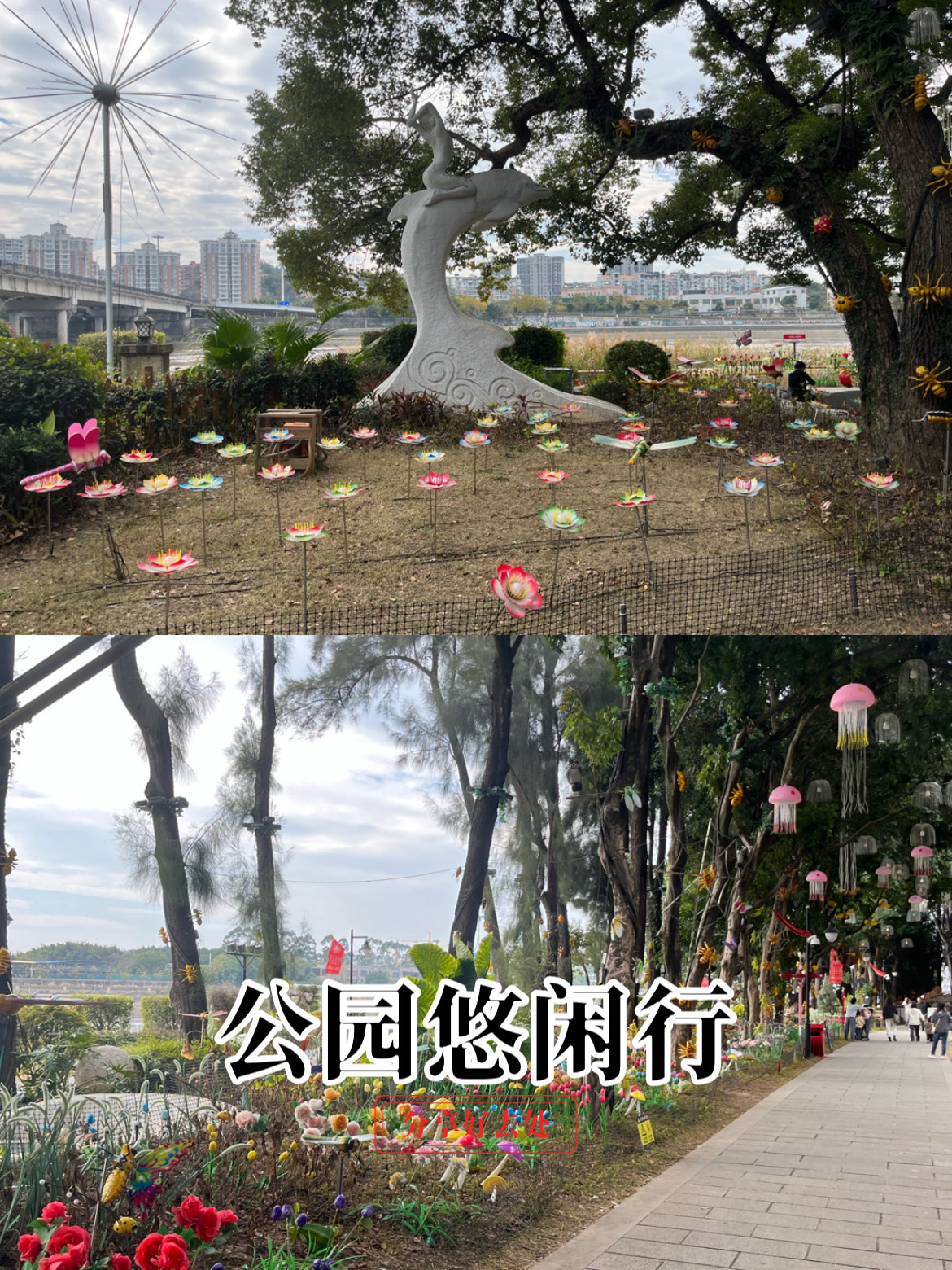 爱情岛AQDLT网站爱情岛AQDLTTV的浪漫之旅