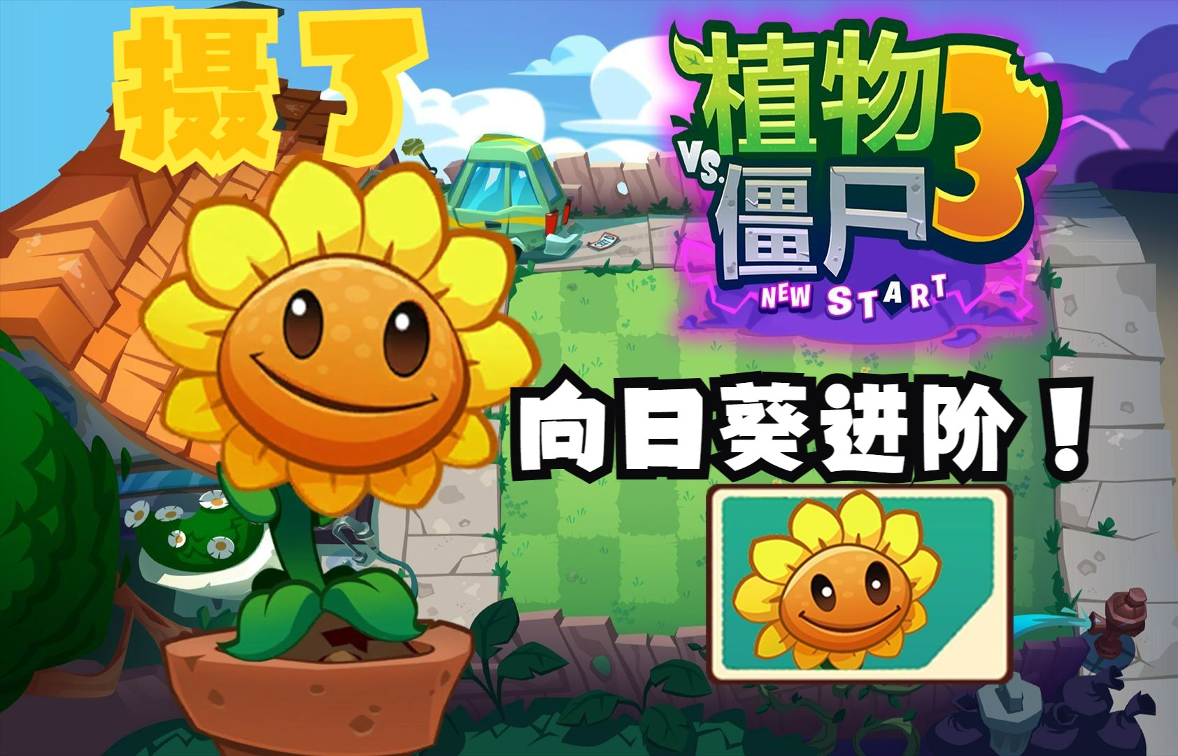 向日葵app视频黄向日葵APP——探索网络视频的边界与误区-第3张图片