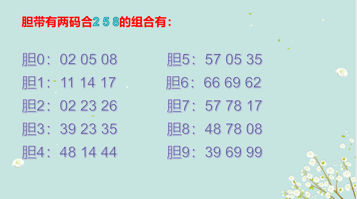 亚洲码号型亚洲一码、二码、三码的差异解析-第2张图片