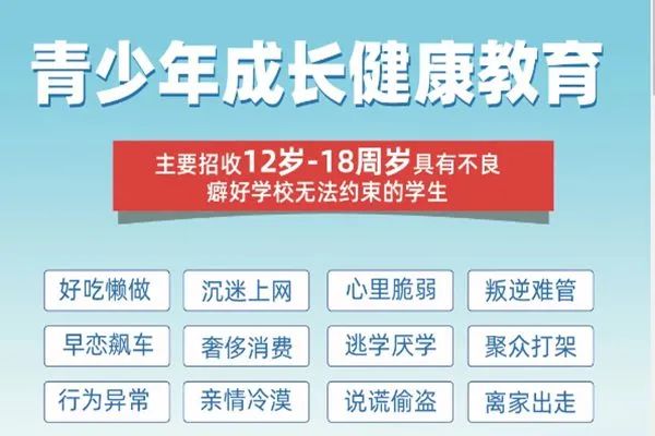 18岁以下青少年禁用关于18岁以下青少年禁用的警示与解读-第3张图片