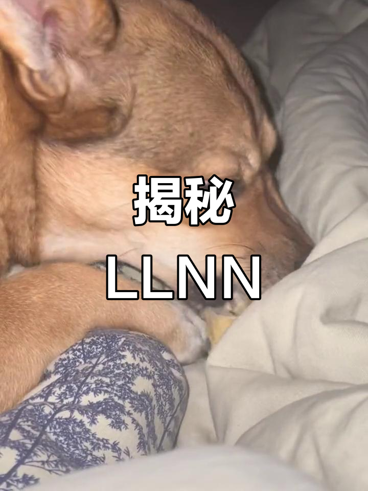 草榴色导航，探索未知的数字世界之旅