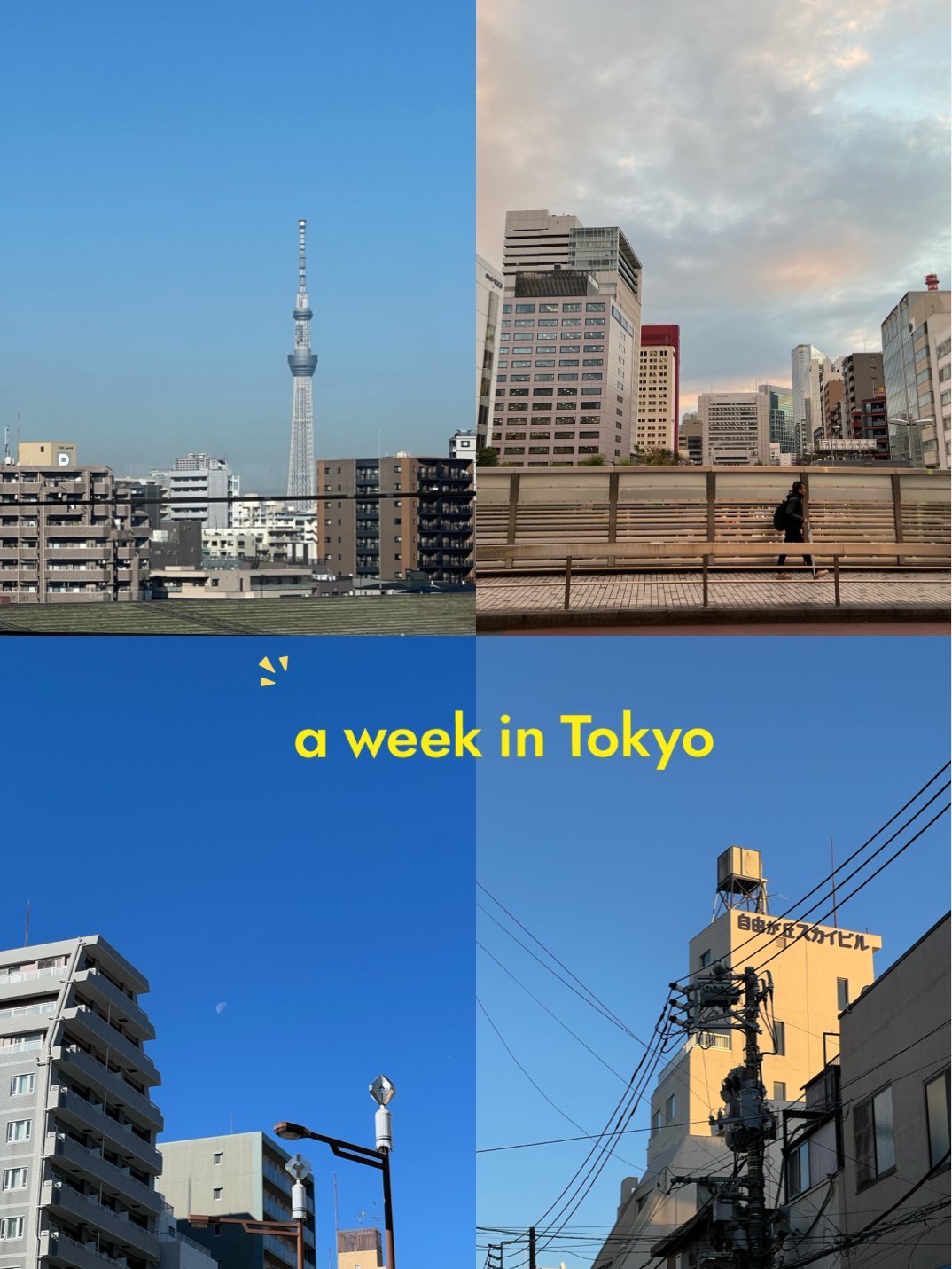 tokyo hot n0808探索Tokyo Hot的N0808之旅-第2张图片