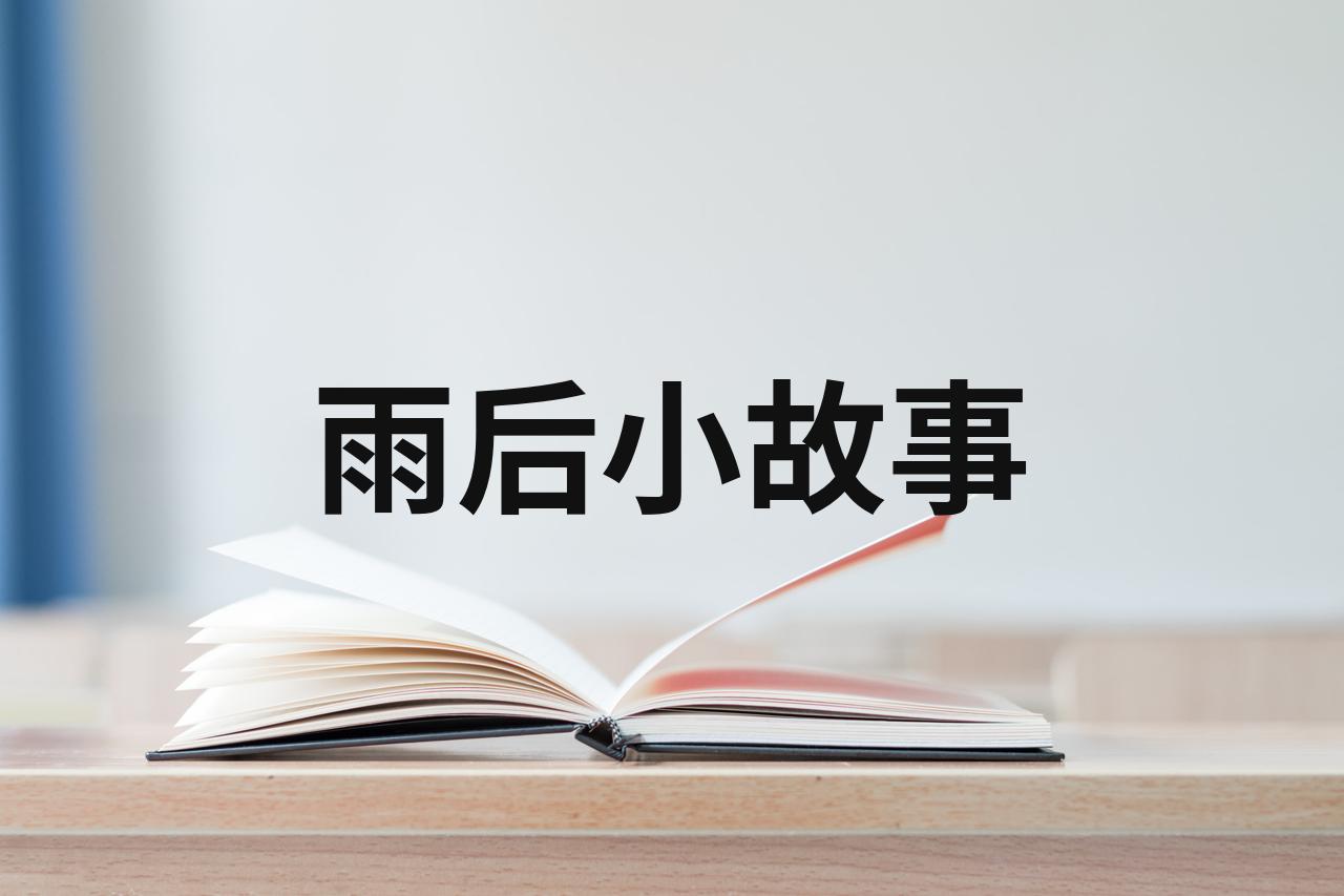 雨后小故事——一幅幅生动的图片-第2张图片